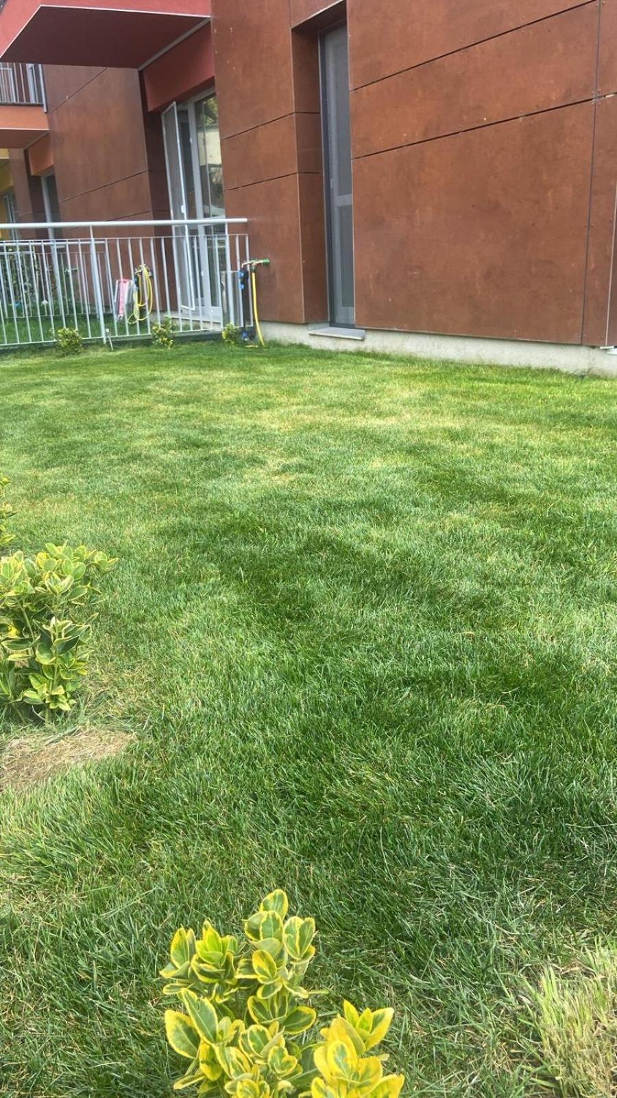 Dream Garden Apartment With Free Parking Sinaia Luaran gambar
